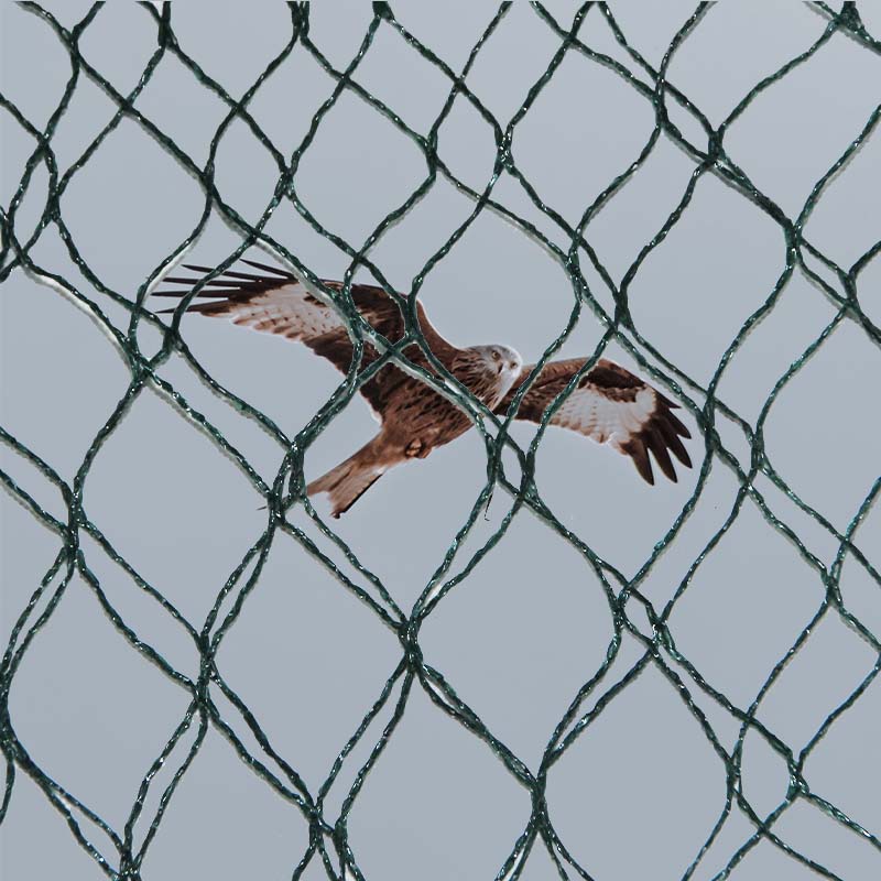 조류방지망의 재질 선택과 장단점은 무엇입니까?