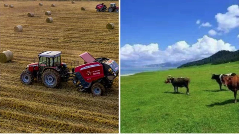 농업 활동에 베일 네트 랩 적용