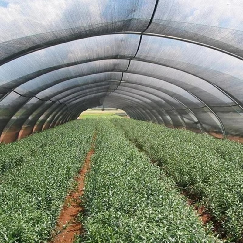 그늘막의 냉각 효과는 좋은가요?