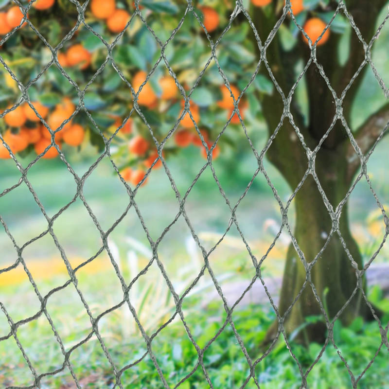 튼튼한 새 그물로 농작물, 재산 및 투자를 보호하세요!